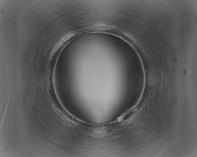 X0000067391410200603311247