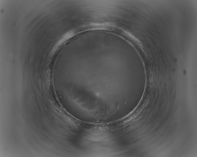 X0000067391411200603311247