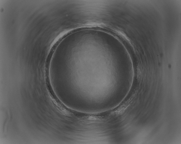 X0000067391412200603311247