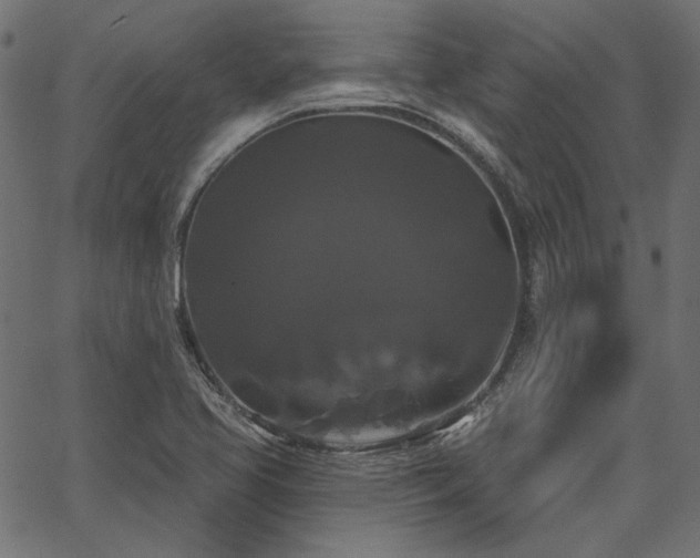 X0000067391413200603311247