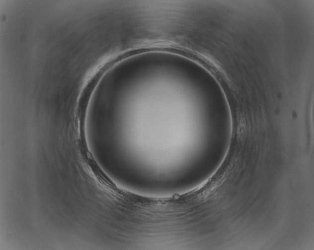 X0000067391414200603311247