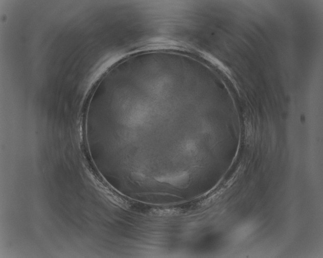 X0000067391415200603311247