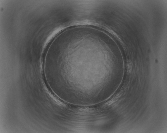 X0000067391416200603311247