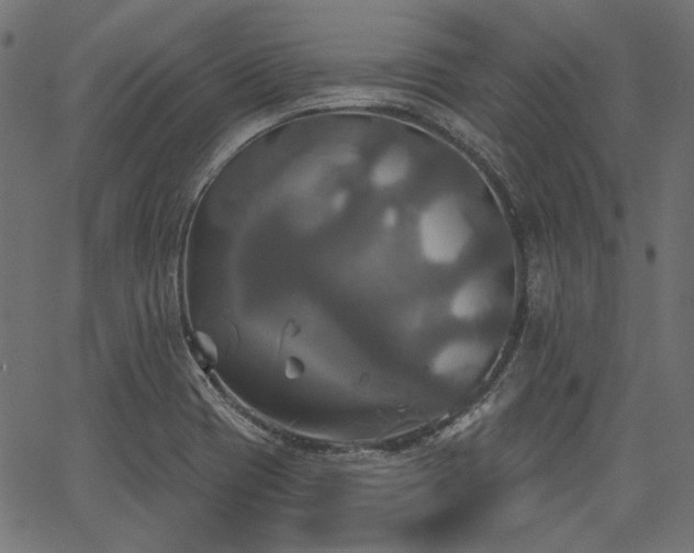 X0000067391417200603311247