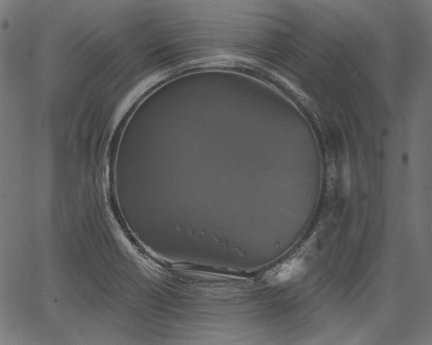 X0000067391418200603311247