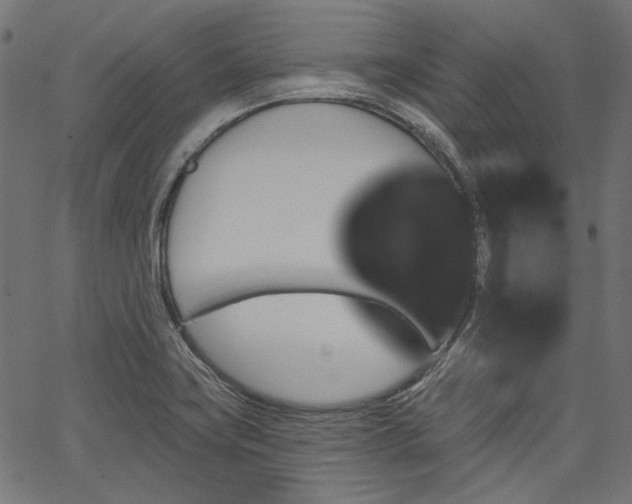 X0000067391419200603311247