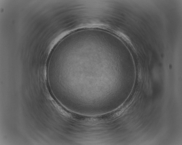 X0000067391420200603311247