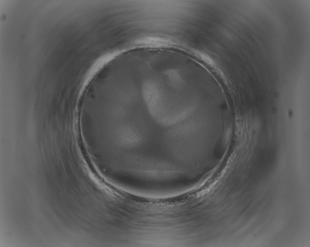 X0000067391421200603311247