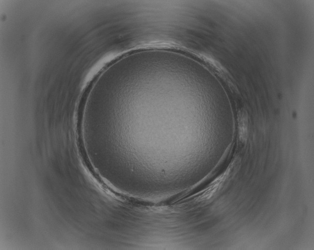 X0000067391422200603311247