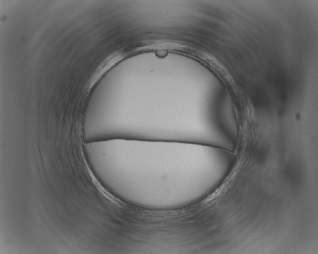 X0000067391425200603311247