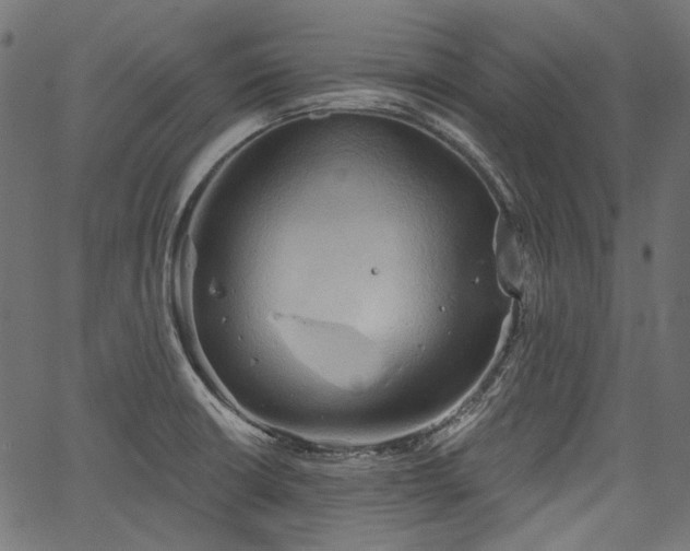 X0000067391426200603311247