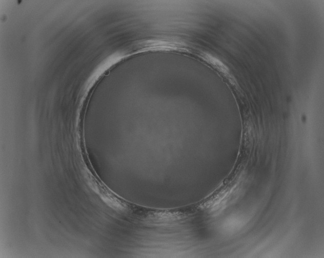 X0000067391427200603311247