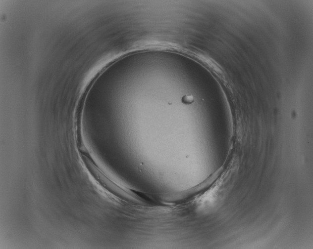 X0000067391430200603311248