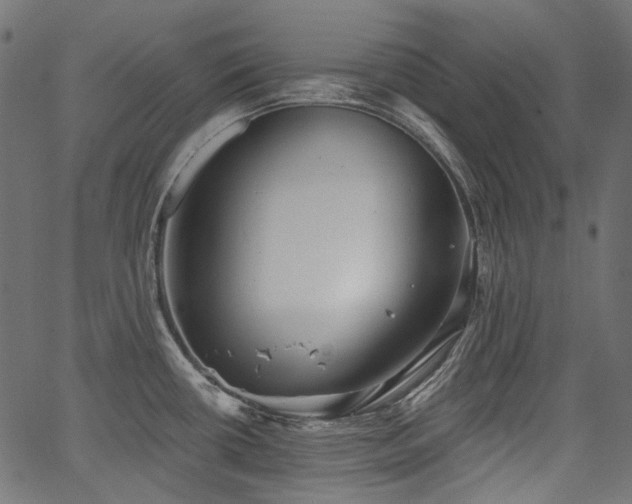 X0000067391434200603311248