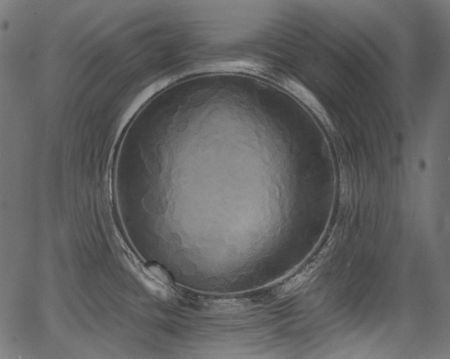 X0000067391436200603311248