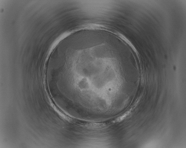 X0000067391437200603311248