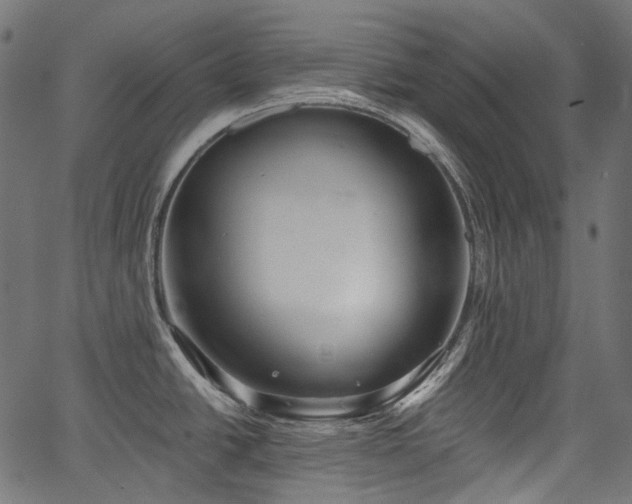 X0000067391438200603311248