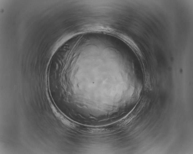 X0000067391439200603311248