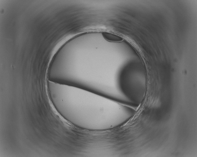 X0000067391440200603311248