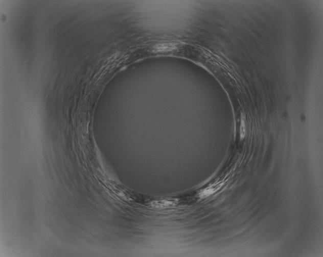 X0000067391441200603311247