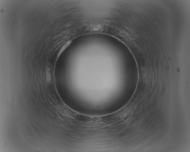 X0000067391442200603311247