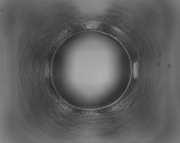 X0000067391443200603311247