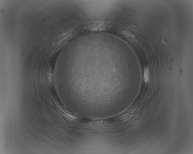 X0000067391444200603311247