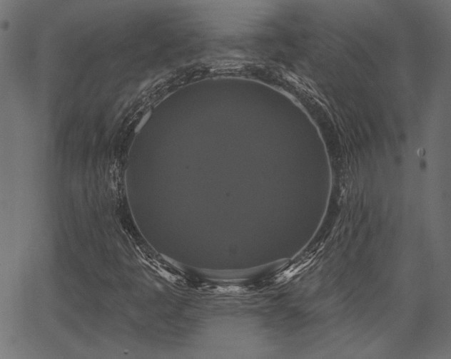 X0000067391445200603311247