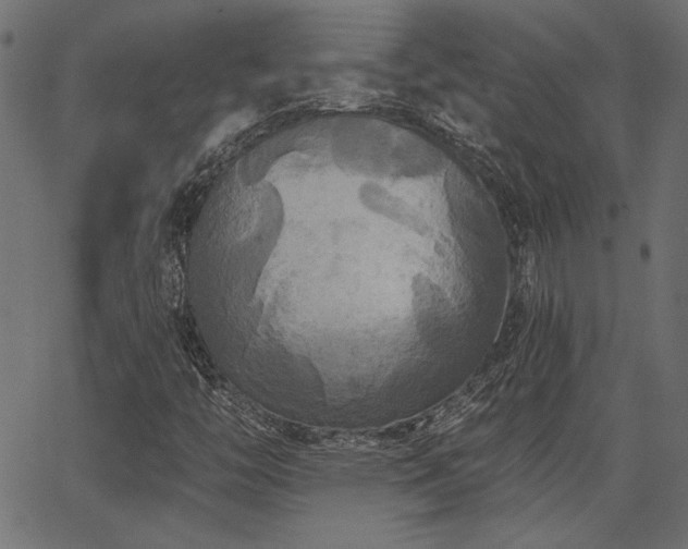 X0000067391446200603311247