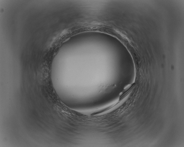 X0000067391447200603311247