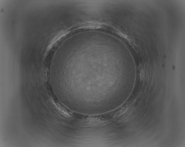 X0000067391448200603311247