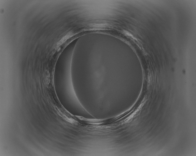 X0000067391449200603311247