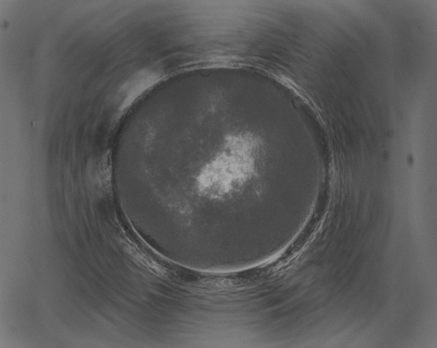 X0000067391450200603311247