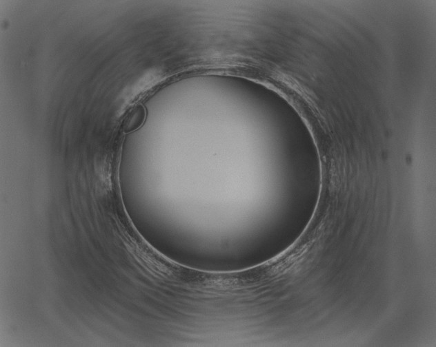 X0000067391451200603311247