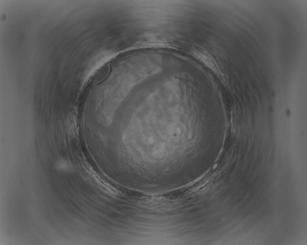 X0000067391452200603311247