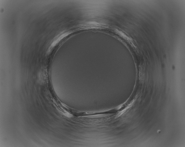 X0000067391453200603311247