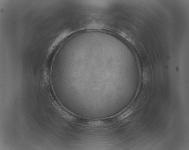 X0000067391454200603311247