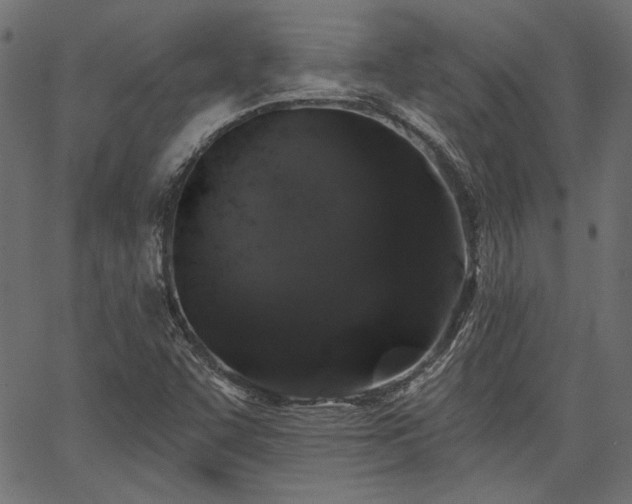 X0000067391455200603311247