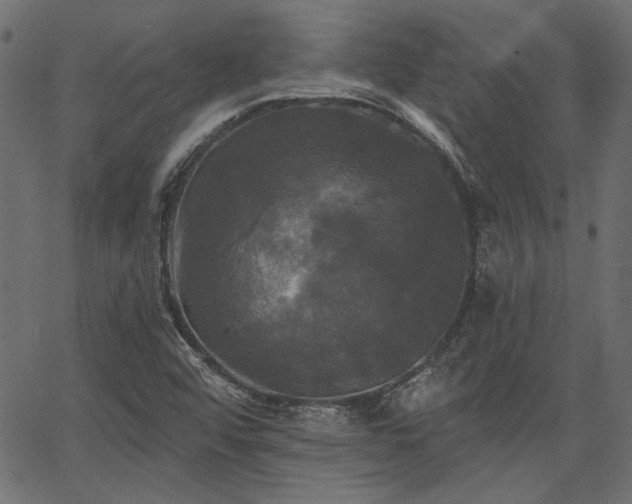 X0000067391456200603311247