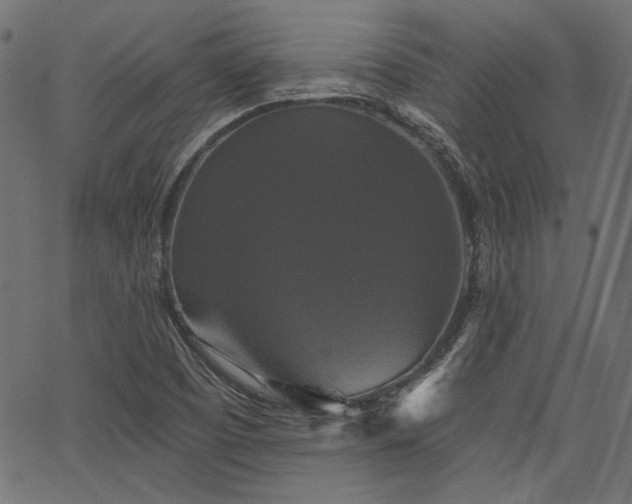 X0000067391457200603311247