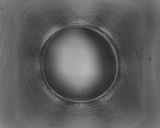 X0000067391458200603311247