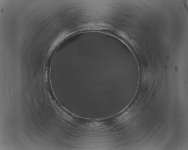 X0000067391459200603311247