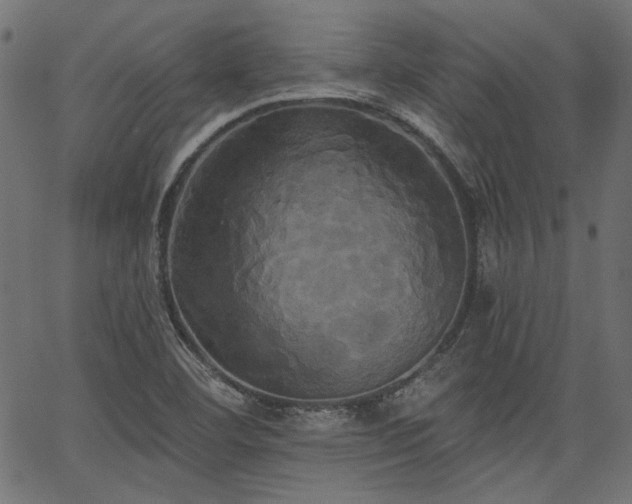 X0000067391460200603311247