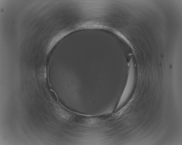 X0000067391461200603311247