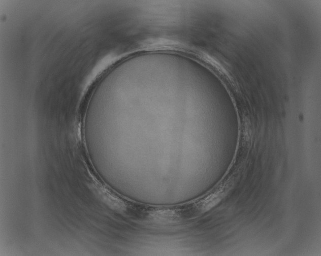 X0000067391462200603311247