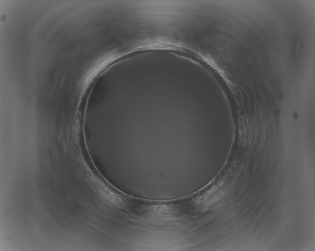 X0000067391463200603311247