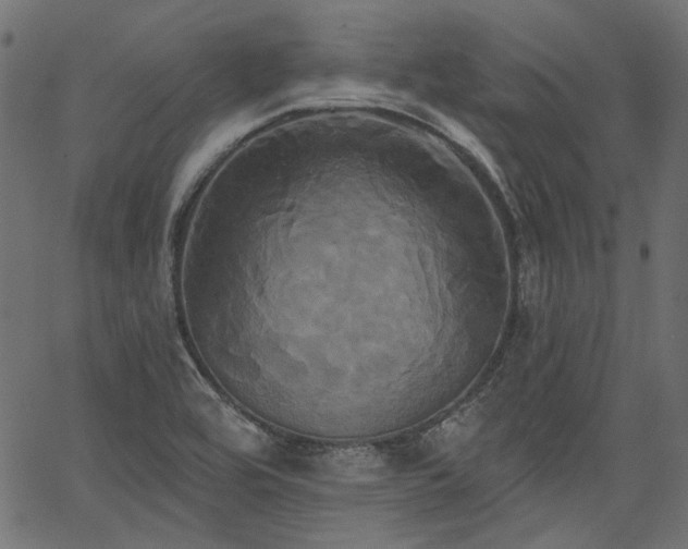 X0000067391464200603311247