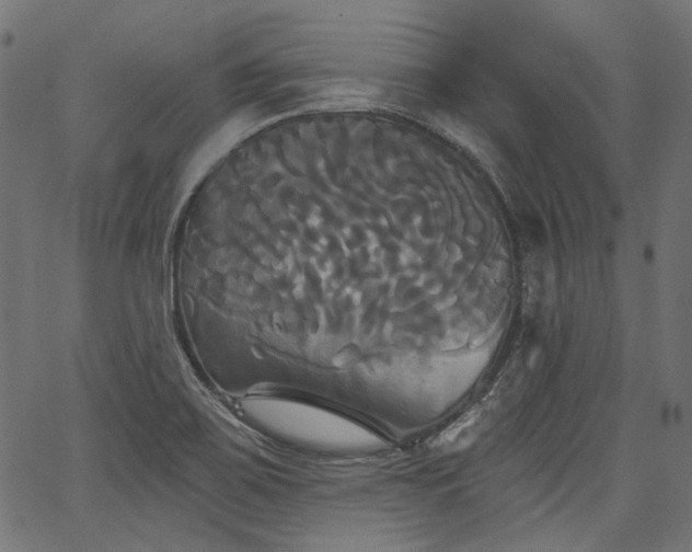 X0000067391467200603311246