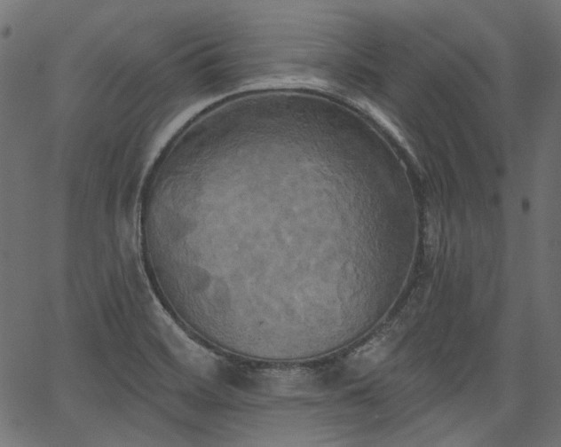 X0000067391468200603311246