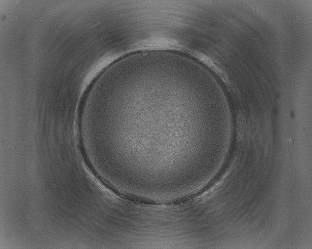 X0000067391469200603311246